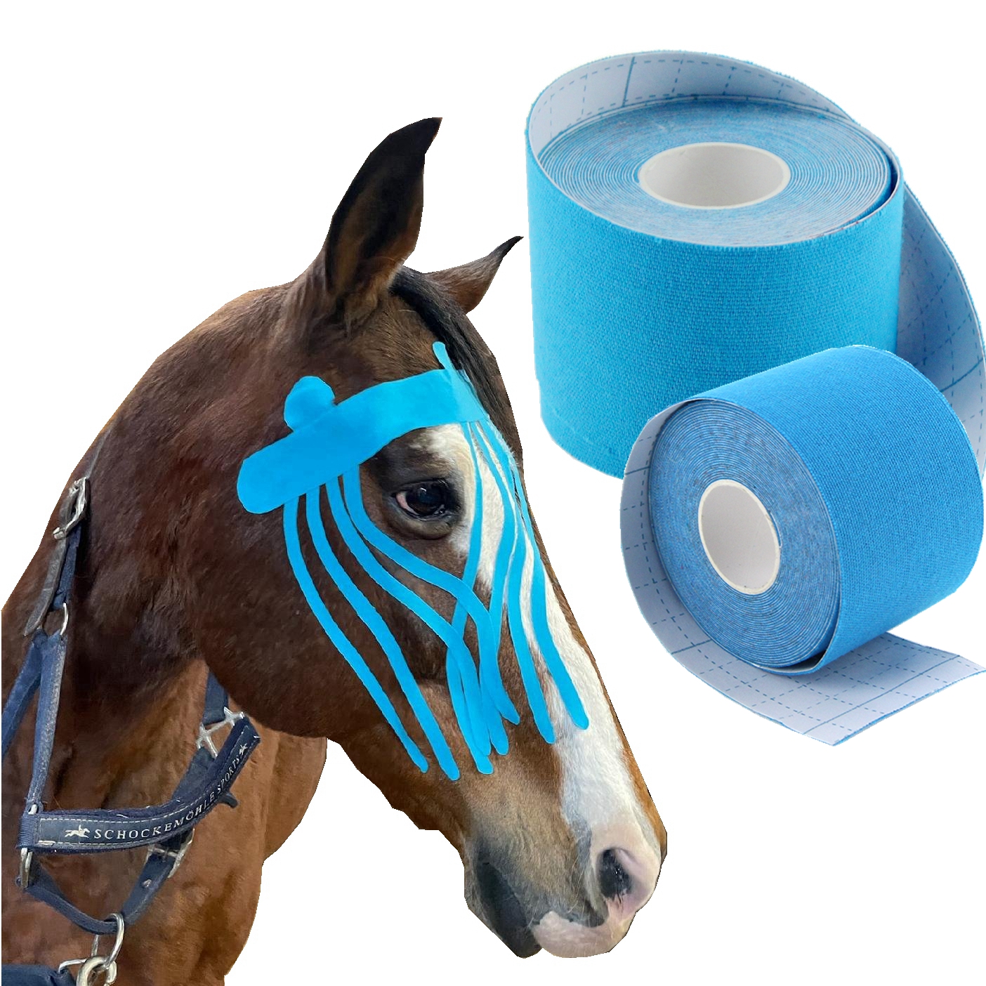 Equine kinesio Tape