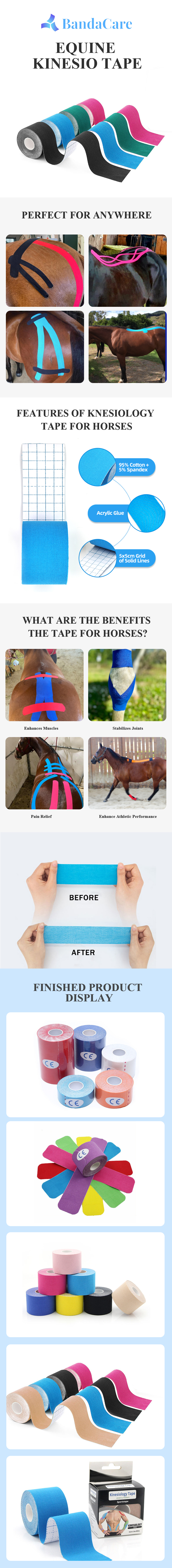 Equine kinesio Tape